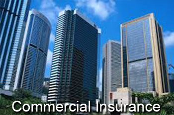 Business & Commercial Insurance
